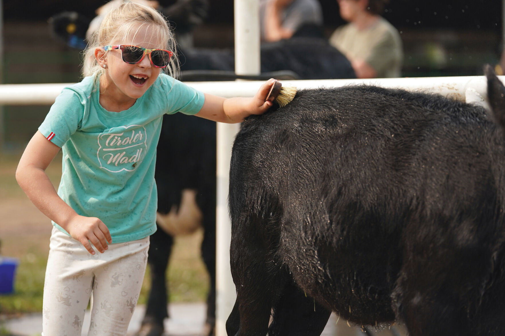 Beef Show Standalones 002.jpg